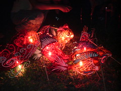 Lanterns at MacRitchie