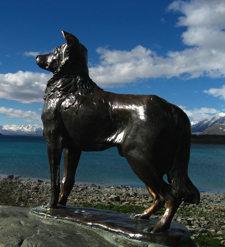 Sheep Dog memorial over Lake Tekapo