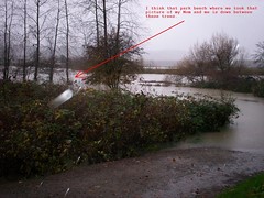 flood_Picture 007