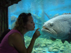 Around Nah Trang, me and a big fish :-)