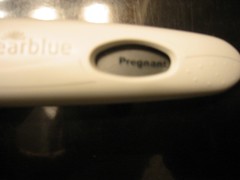 pregnant!