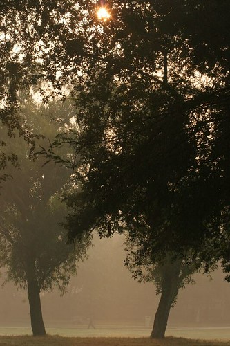 IMG_0308 Sunrise in Lodhi Gdns, Delhi, 5th Nov 06