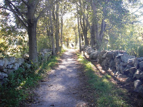 path with stone walls