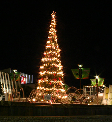 Christmas Tree in front of the Canberra Theatre