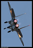 IMG_3776, IAF F-15I Eagle Ra'am  Israel Air Force   Israel Air Force