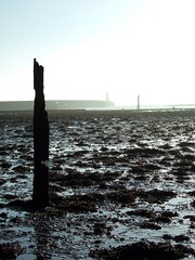 Mudflats columns and lighthouse