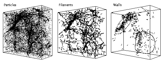 filamentswalls1