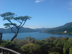 trees, lake, fuji