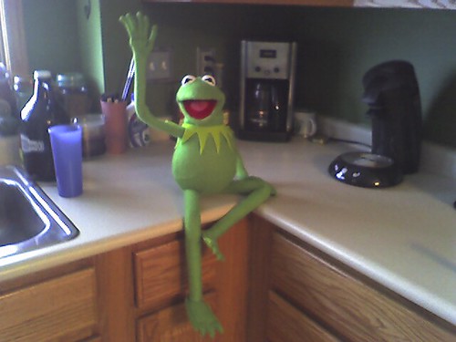 Kermit Says Hello