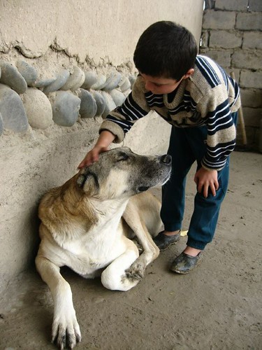 My dog is the best! (Sarazm Village, Tajikistan) / 僕の犬は最高!(タジキスタン、サラザム村)