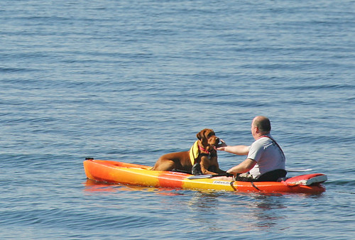 A kayaker's best friend