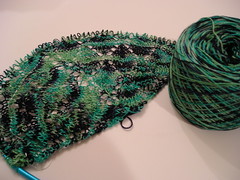 start of the forest canopy shawl