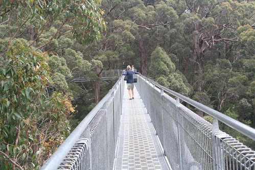 Pam at the Valley of the Giants Aerial Walk