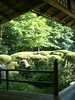 Shisendo - 詩仙堂 *12 Garden お庭