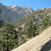 Upper Rumbur valley views(6)