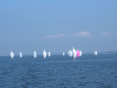 Chesapeake Sailboat Race