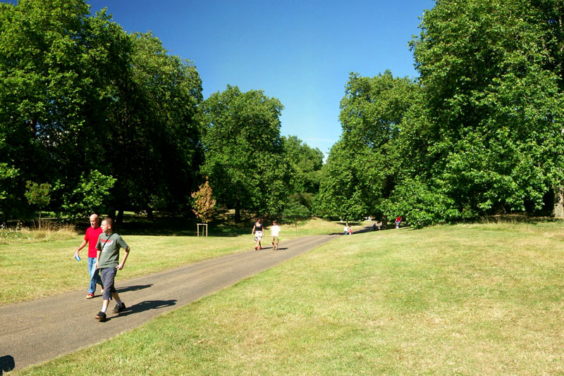 Strolling through Green Park in London