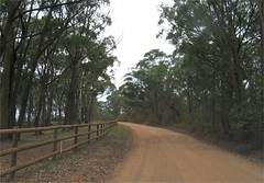 the road to Bou-saada Winery, Mittagong