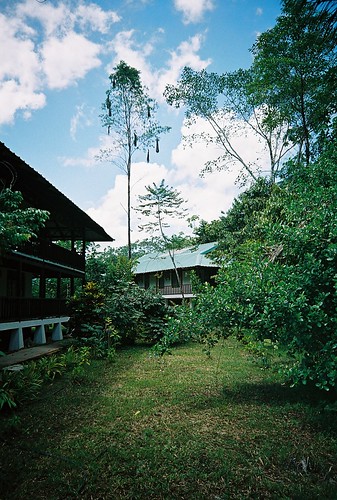 Yasuni National Park
