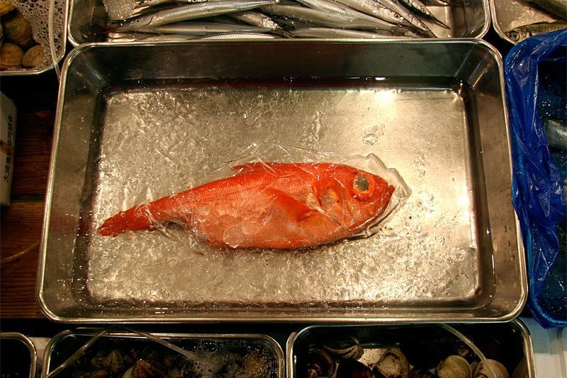 fisk1