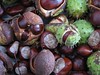 Conker Pile No.2