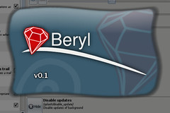 Beryl 0.1 Splash Screen