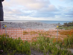Orange plastic mesh barrier blocking access to beach and calm water