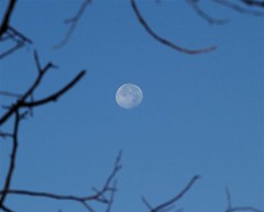 moon_110608