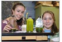Mit algae biodiesel presentation