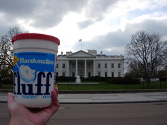 Fluff and the White House