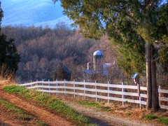 The Cedar, the Fence, and the Farm