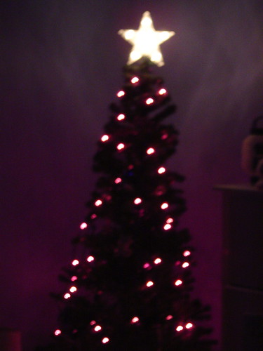 Mianna Christmas Tree 2005