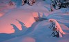 snow monsters come out to play - 