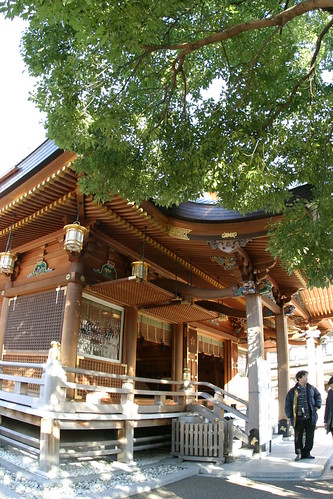 at Shinto Shrine 03