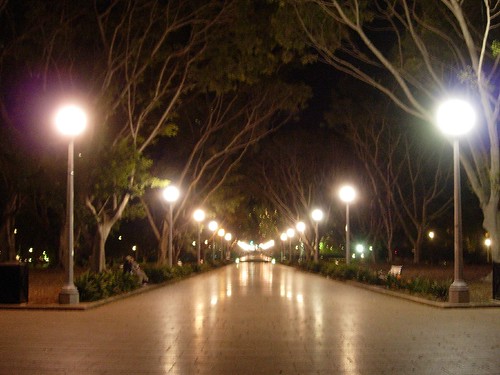 Hyde Park at Night