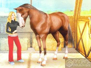 Horsez For Nintendo DS 