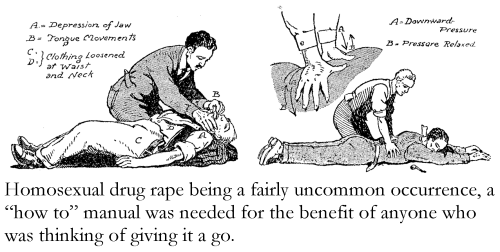 Homosexual drug rape being a fairly uncommon occurrence, a 'how to' manual was needed for the benefit of anyone who was thinking of giving it a go.