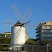 Ibiza - Old windmill