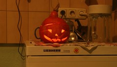 Halloween Kürbis in der Küche