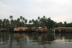 Houseboats under construction