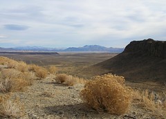 Nevada Roadside View