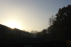 Sunrise into the mist...