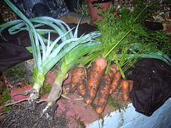Carrots and Leeks