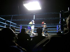 Boxing - 01 (Large)