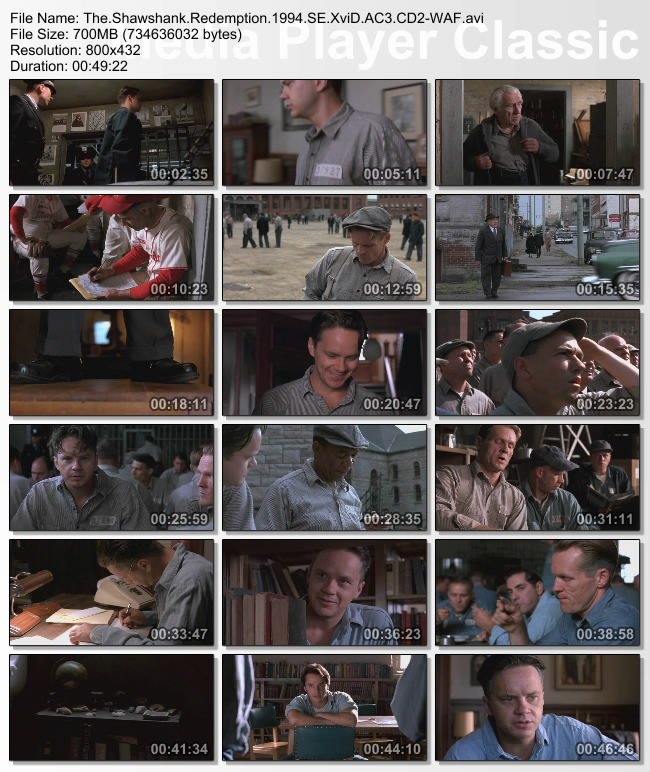The.Shawshank.Redemption.1994.SE.XviD.AC3.CD2-WAF