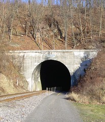 Brush Tunnel