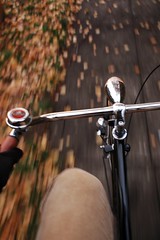 VINTAGE BIKE BICYCLE PANT LOOPS PANT CLIPS PROTECTOR REFLECTIVE HARLEY SCHWINN 