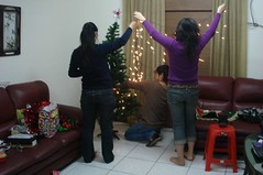 hanging the lights