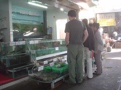 52.觀光客在選購海鮮