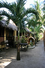 Our Bungalow